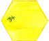 DESERT