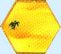 hexagone désert