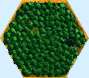 hexagone forêt
